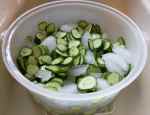 Cucumbers packed in ice