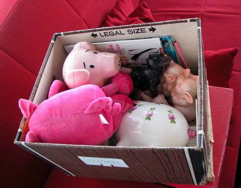 Pig collection for sale